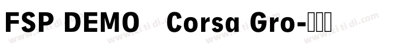 FSP DEMO   Corsa Gro字体转换